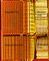 RISC datapaths for the PC Audio Chips